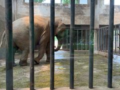 -石家庄市动物园