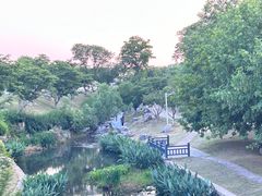 -羊山湖公园
