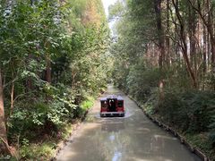 -同里国家湿地公园