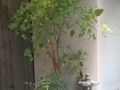 -王府茶楼茶宴·创意菜(朝阳公园店)
