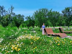 -白鹭湾湿地公园