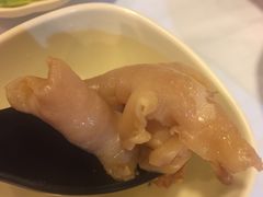 花胶-鲜入围煮花胶鸡海鲜火锅