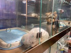-FAELING PETS美天灵宠物(富力广场店)
