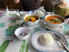 -Jungle Kitchen