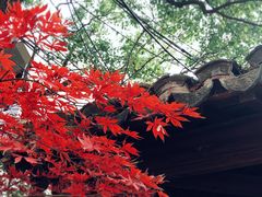 -龙华寺
