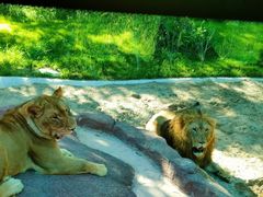 -北京野生动物园