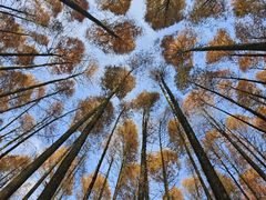 -山王坪喀斯特国家生态公园