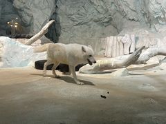 -珠海长隆海洋王国