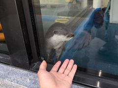 -厦门海底世界