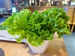 -邵汇大虾火锅(鲁迅路店)