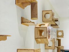 -藏猫猫咖啡主题馆(中央大道店)