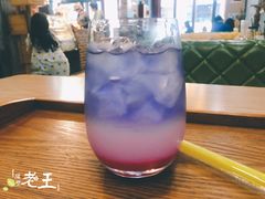 草莓优格-猫咪咖啡·猫咖(万达广场店)