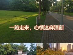 -尚贤河湿地