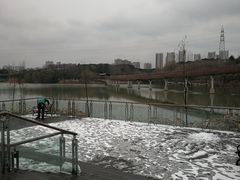 -昆山城市生态森林公园