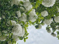 -孝子祠公园