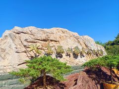 -北京西山国家森林公园