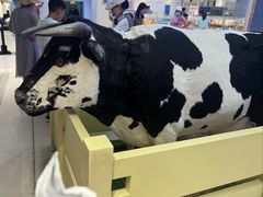 -红星前进面包牛奶公司(君太店)