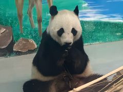 -柳州市动物园