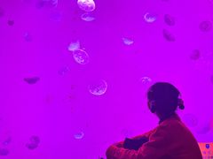 -沈阳海洋探索中心