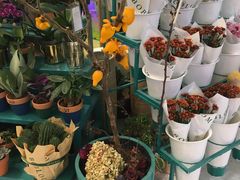 -BoBloom花店(晶耀前滩店)