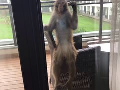 -苏州环秀晓筑养生度假村