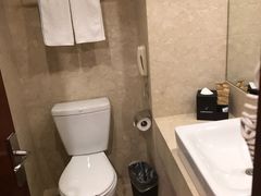 -南京国际博览中心酒店