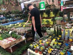 -秦美花卉(天朗·莱茵小城2期店)