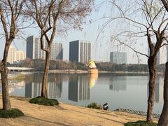 -南翔镇银翔湖公园