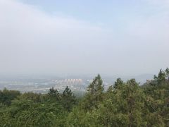 -阳台山自然风景区
