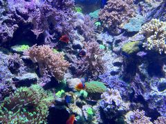 -珠海长隆海洋王国