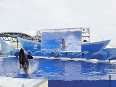 -上海海昌海洋公园