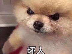 -三千粉牛肉米粉(来客茂店)