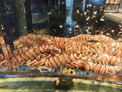-荣轩(新荣记环球金融中心店)