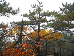 -罗田天堂寨风景区