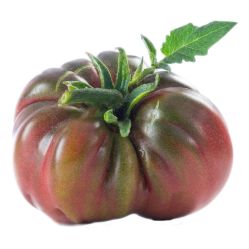 -Oasis Beauty水磨坊科技美肤中心