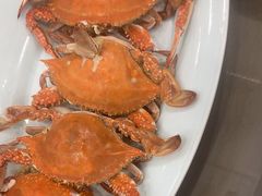 -良友·海鲜青岛菜·海肠捞饭(五四广场店)