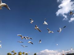 -月亮湾湿地公园