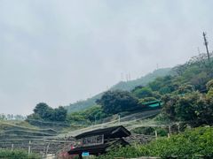 -青青世界