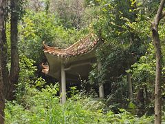 -滴水岩森林公园