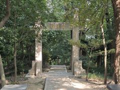 -上海佘山国家森林公园天马山园