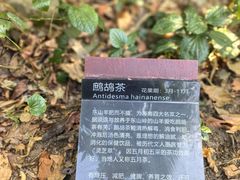 -七仙岭君澜度假酒店