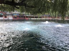 -百脉泉景区
