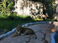 -北京野生动物园