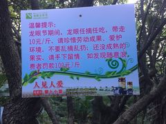 -茂德公草堂