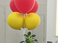 -苏宁易购(Suning Pro南京山西路店)