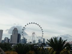 -新加坡摩天观景轮