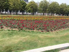 -武汉市民之家