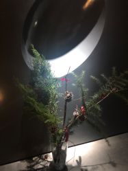 -美壹生诊所皮肤管理中心·海菲秀&Legacy美白舱