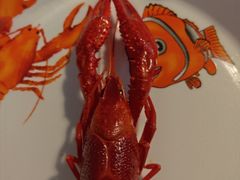 -霸王虾·麻辣小龙虾(清水河公园店)