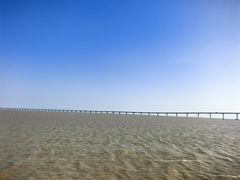 -野狸岛